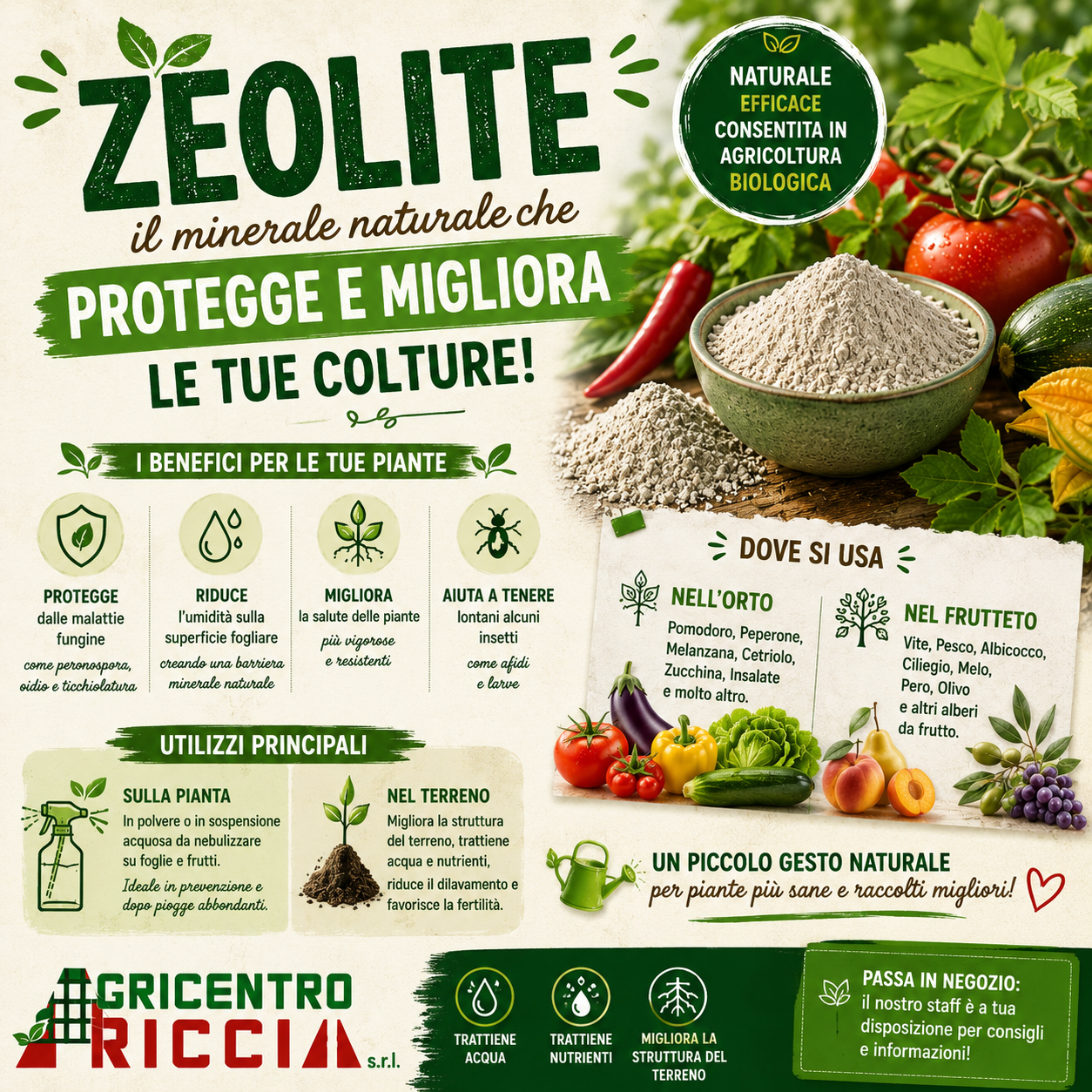 Zeolite Agricentro ariccia